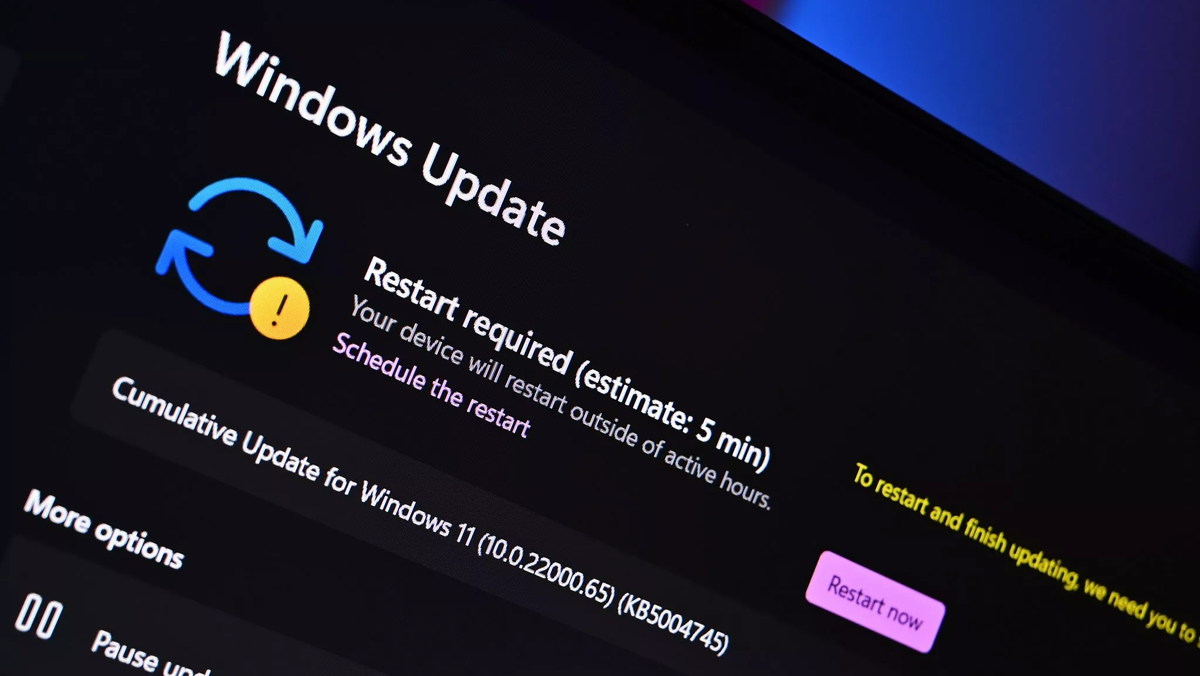 Изображение к статье: Windows 11 для самых смелых: что нового в канале Canary, и почему там нет "фишек" Copilot+? - Windows 11 на MSReview.net
