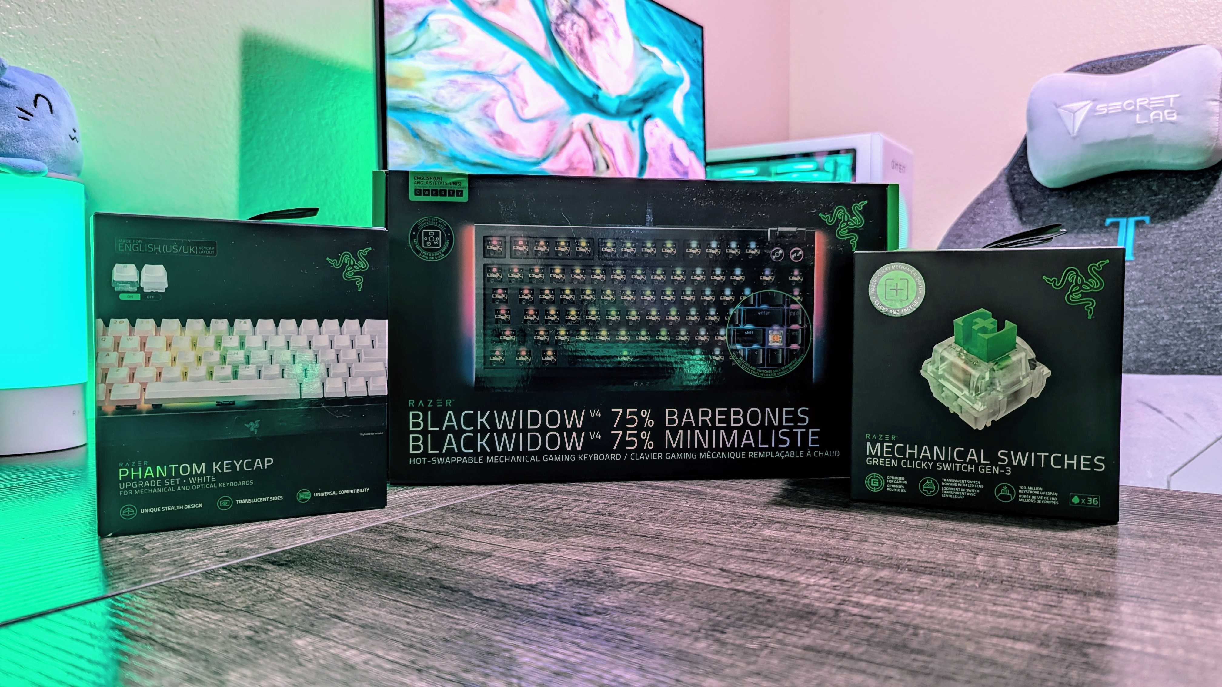 Игровая клавиатура Razer BlackWidow V4 75% Barebones.