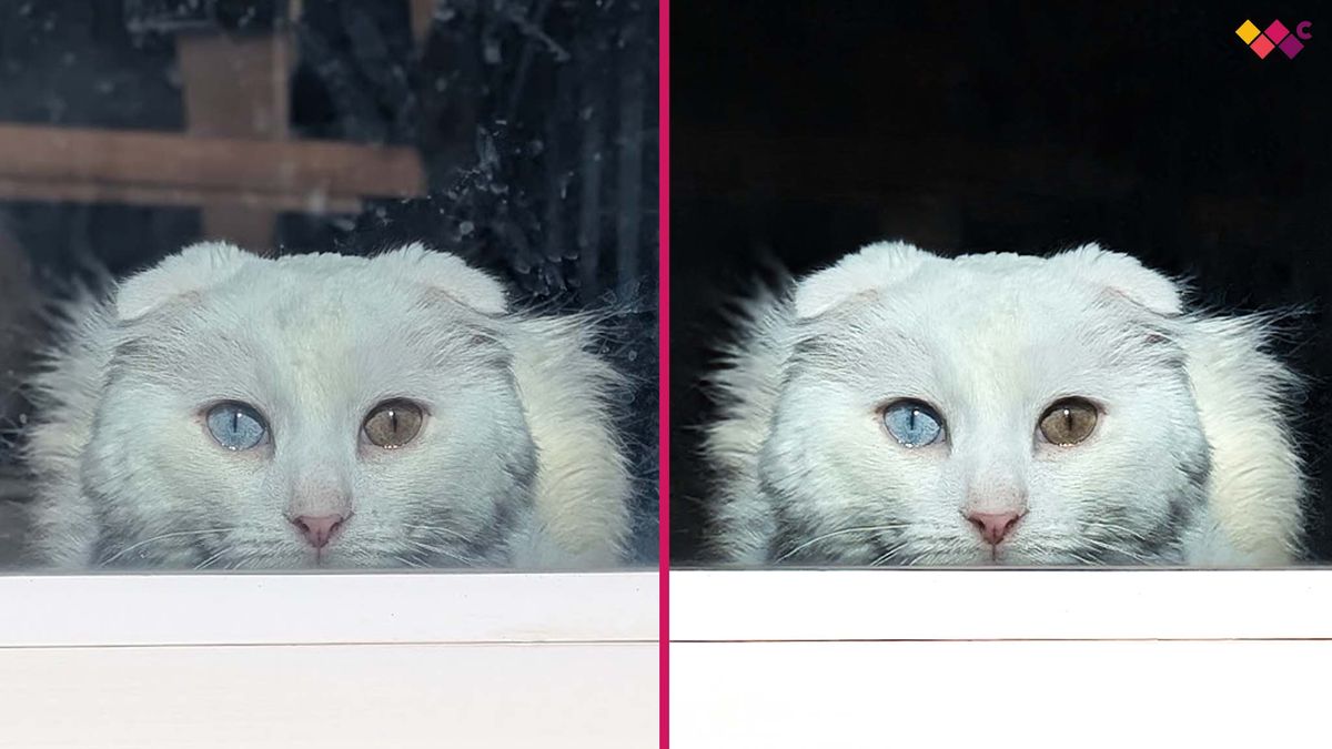 Изображение к статье: Photoshop научился удалять отражения как по волшебству! Больше не нужно тратить часы на ретушь - Софт на MSReview.net