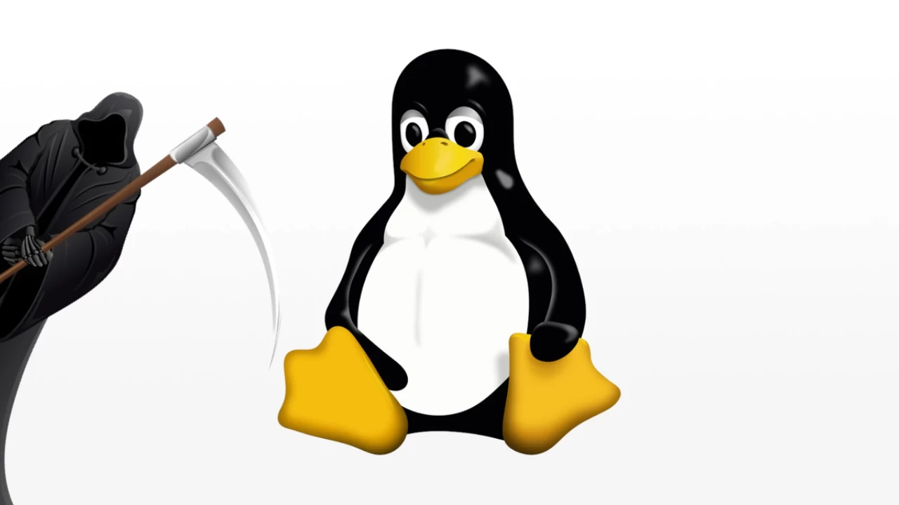 Изображение к статье: Прощай, Clear Linux: Intel закрывает свой дистрибутив – что это значит для пользователей? - Linux на MSReview.net