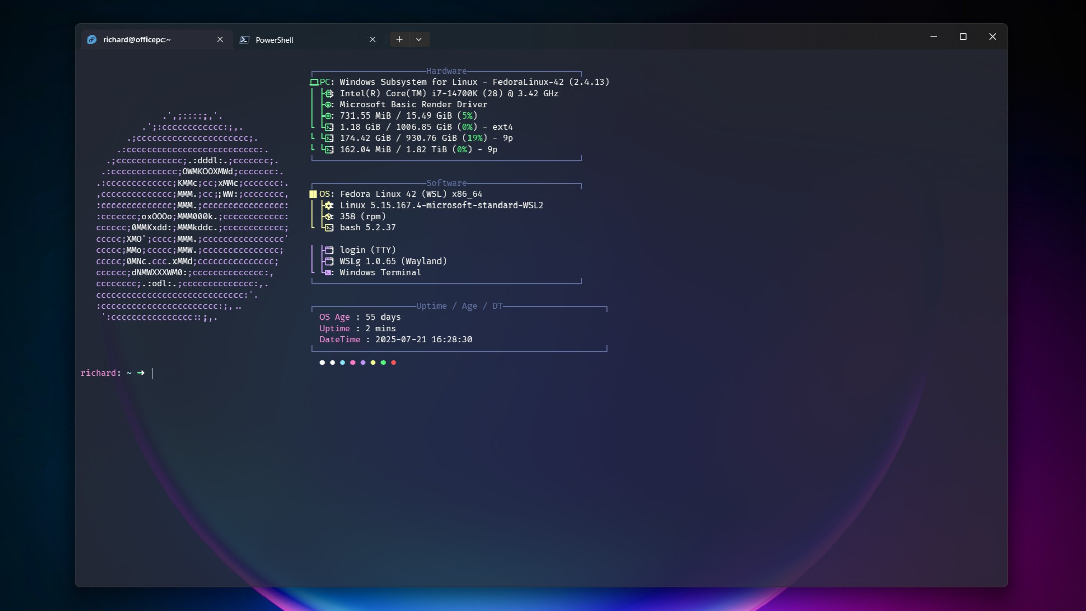 Fastfetch на Fedora 42 для WSL, запущенной внутри Windows Terminal.