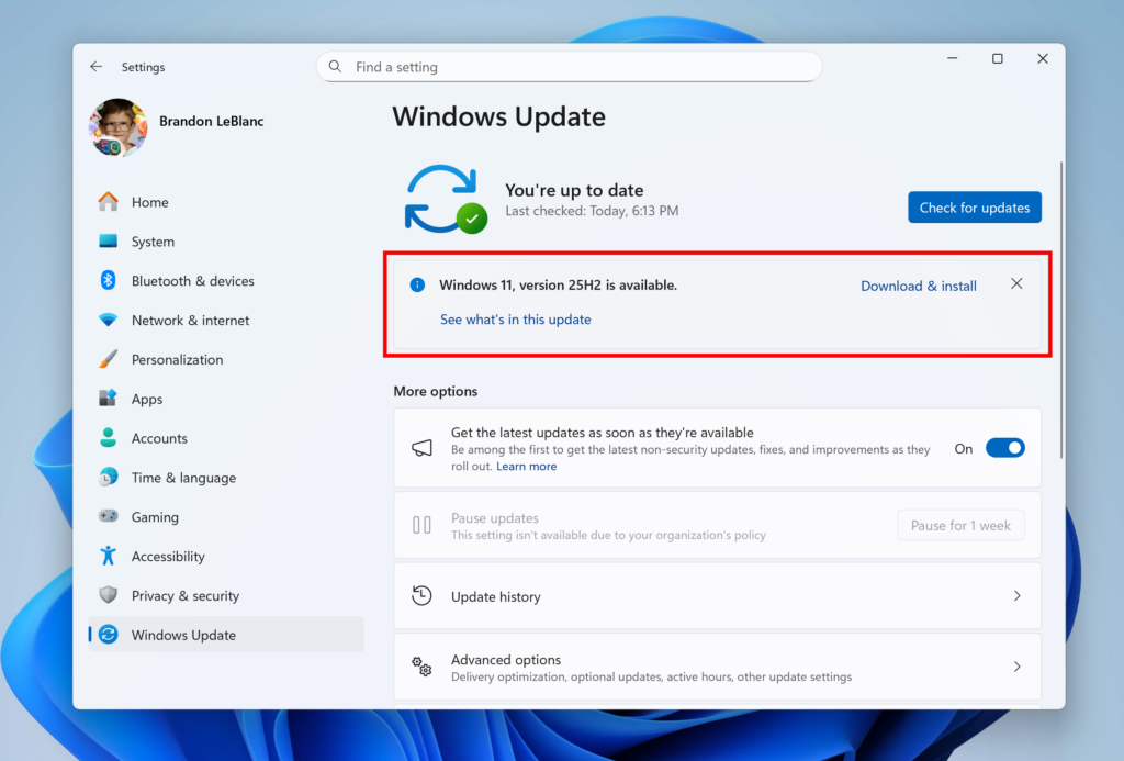 Изображение к статье: Windows 11, версия 25H2 уже доступна для тестирования в канале Release Preview! - Windows 11 на MSReview.net