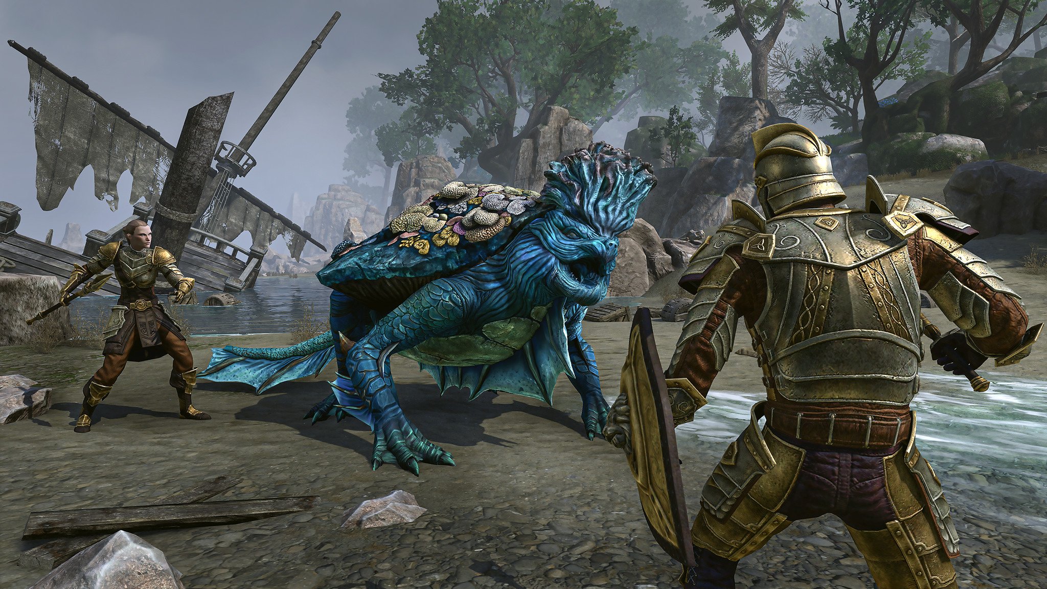 The Elder Scrolls Online gameplay