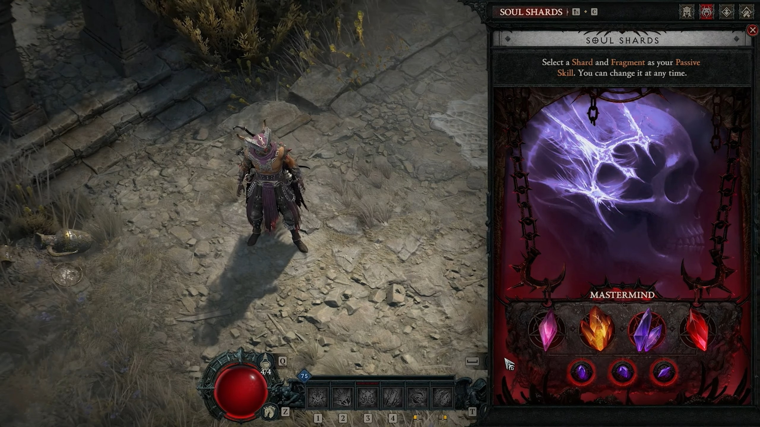 "Diablo 4 Warlock"