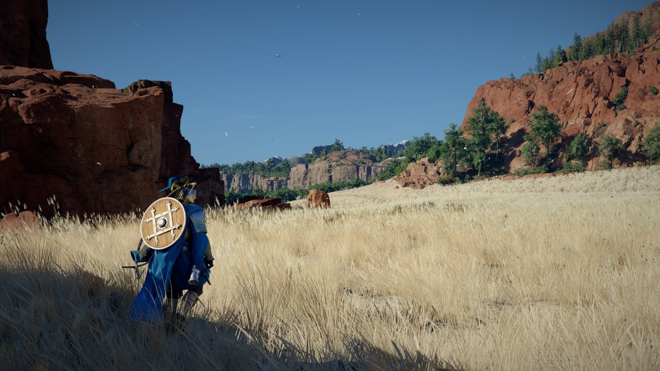 Скриншот геймплея Crimson Desert
