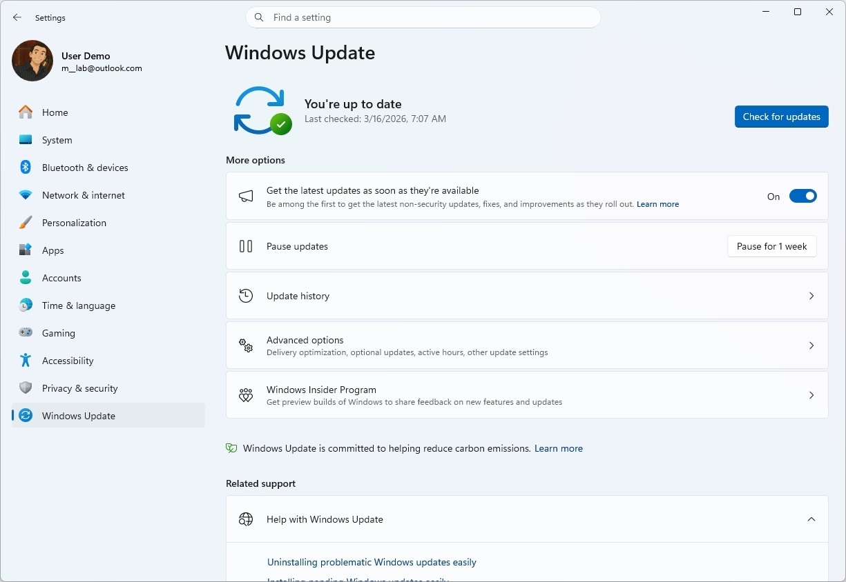 Windows Update