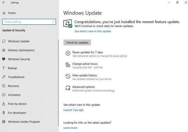 В редакции Windows 10 Home можно приостановить обновления на 7 дней