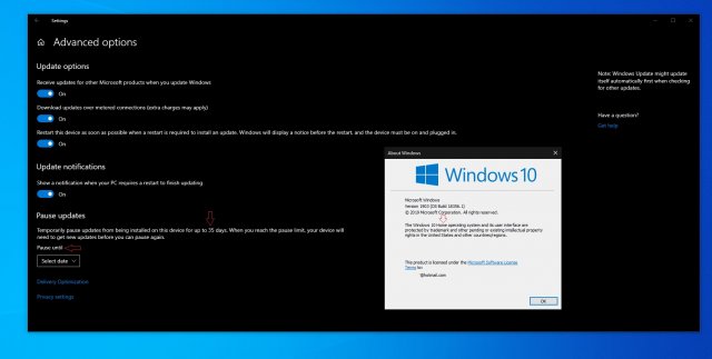 В Windows 10 Home появится возможность отложить обновления на 35 дней