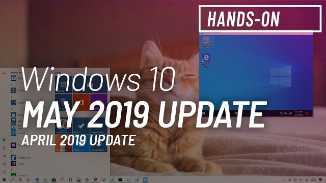 Предварительная дата выхода Windows 10 May 2019 Update – 14 мая