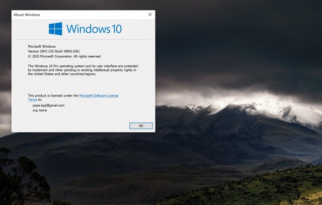 Windows 10 версии 20H2 вылетает из-за ошибки BSOD при подключении SSD