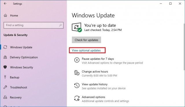 1618934162 view optional updates drivers
