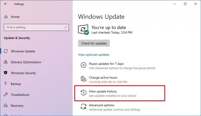1618934196 windows10 view update history option