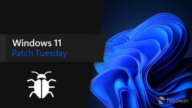 Microsoft подтверждает проблему с некоторыми версиями графических драйверов Intel в Windows 11 и Windows 10